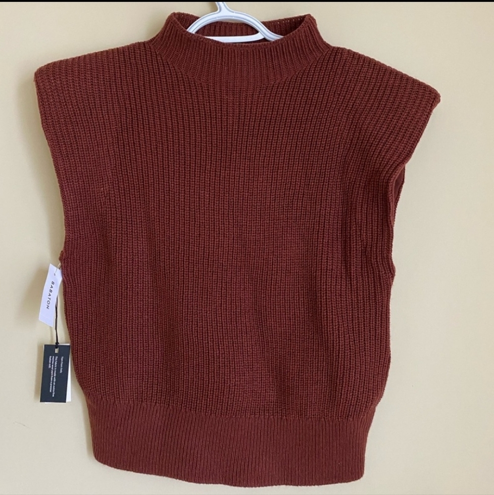 Babaton Rust Sweater